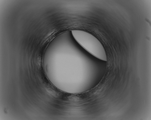 X0000092030648200709061351