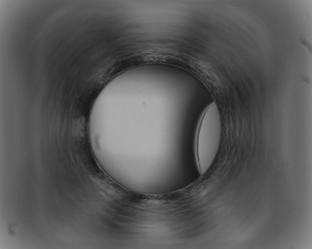X0000092030649200709061351
