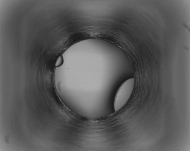 X0000092030650200709061351