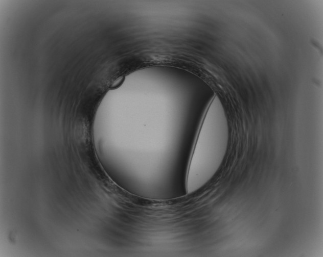 X0000092030651200709061351
