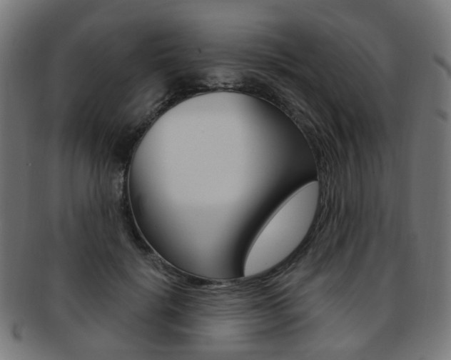 X0000092030652200709061351