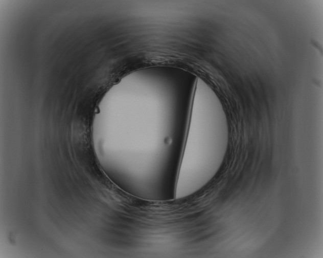 X0000092030653200709061351