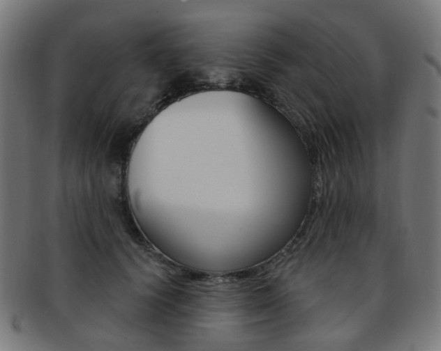 X0000092030656200709061352