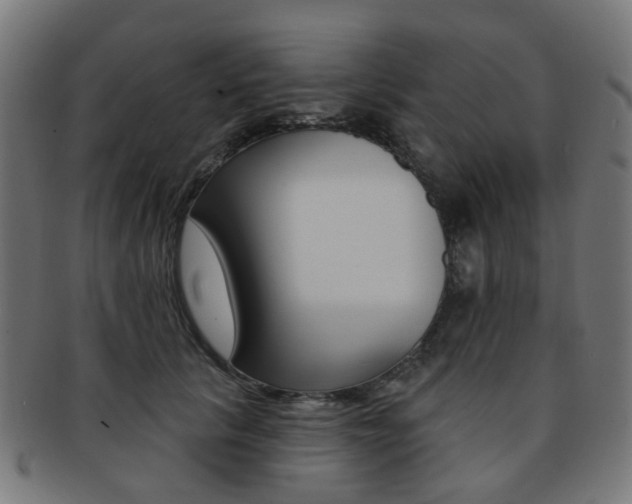 X0000092030657200709061352