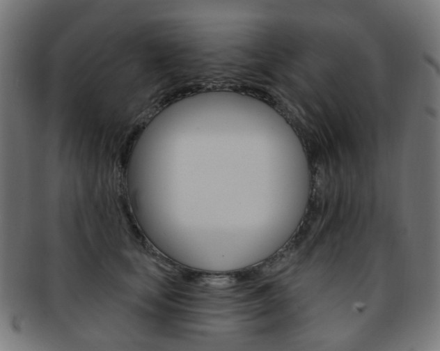 X0000092030659200709061352
