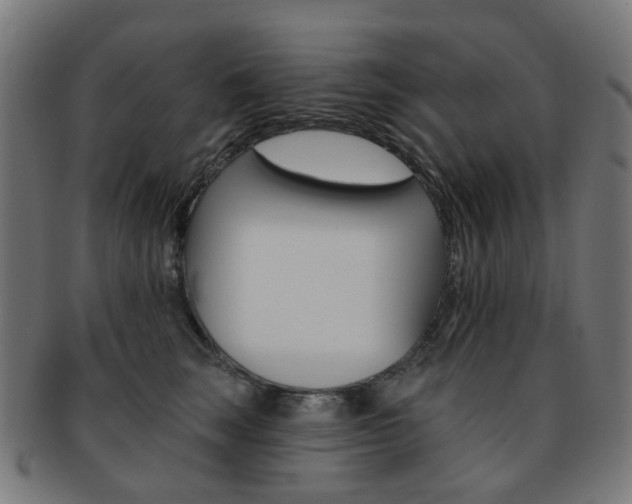 X0000092030663200709061352