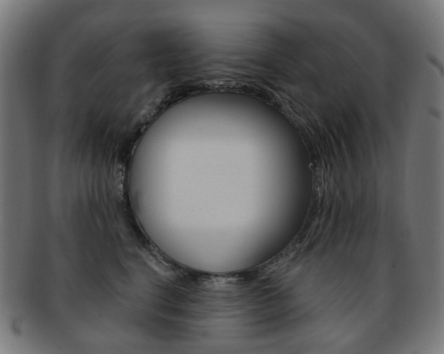 X0000092030664200709061352