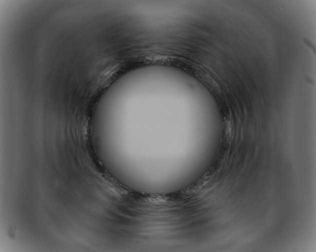 X0000092030668200709061352