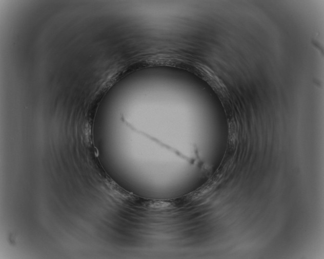 X0000092030669200709061352