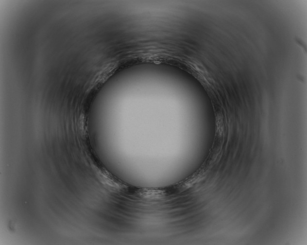 X0000092030670200709061352