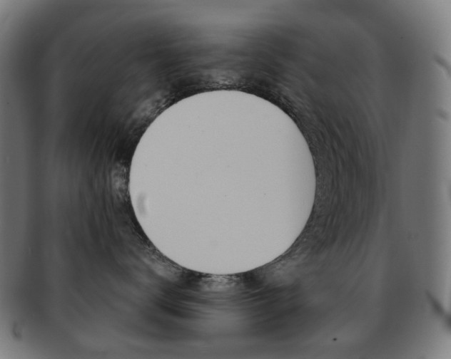 X0000092030672200709061352