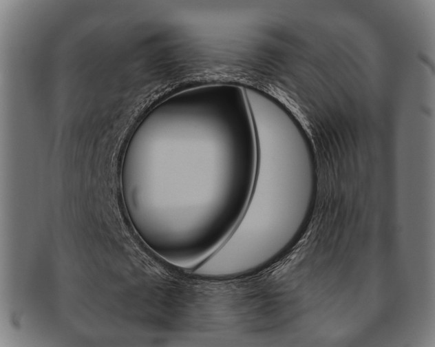 X0000092030673200709061351