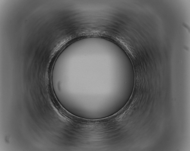 X0000092030674200709061351