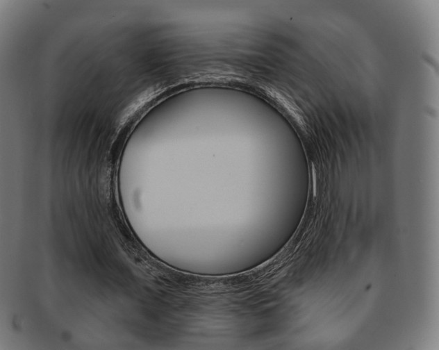 X0000092030675200709061351