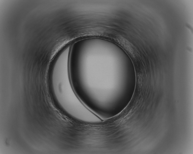 X0000092030676200709061351