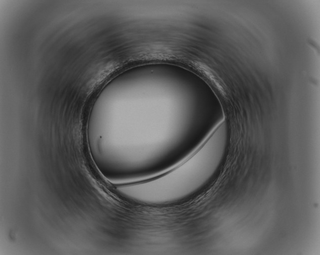 X0000092030677200709061351