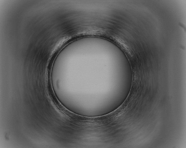 X0000092030678200709061351