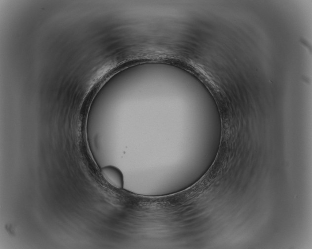 X0000092030679200709061351