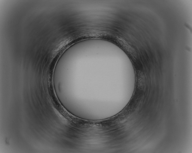X0000092030683200709061351