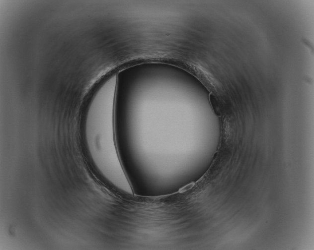 X0000092030684200709061351