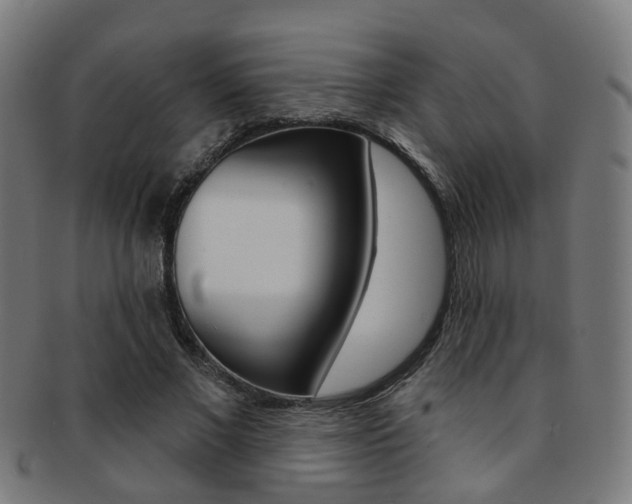 X0000092030685200709061351