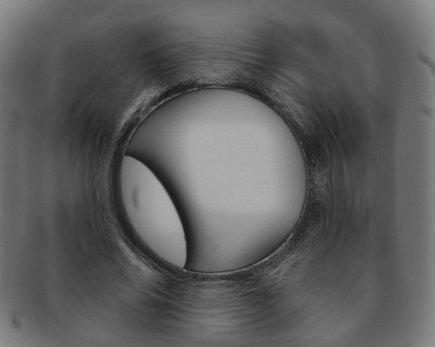 X0000092030686200709061351