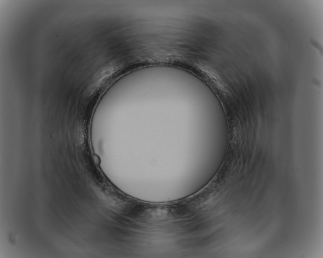 X0000092030687200709061351