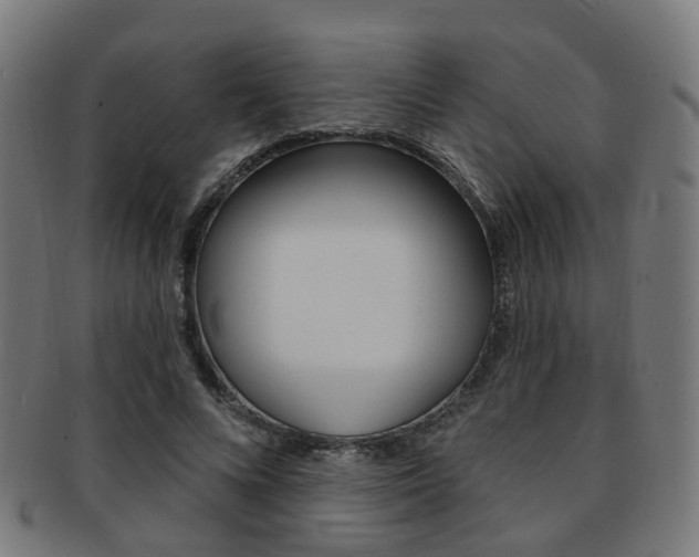 X0000092030688200709061351