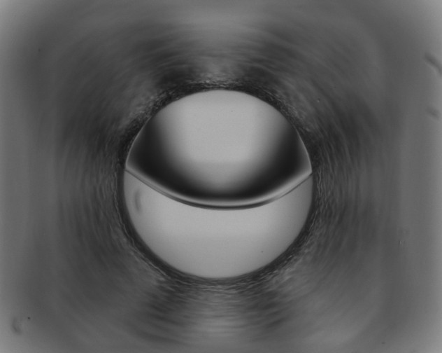 X0000092030689200709061351