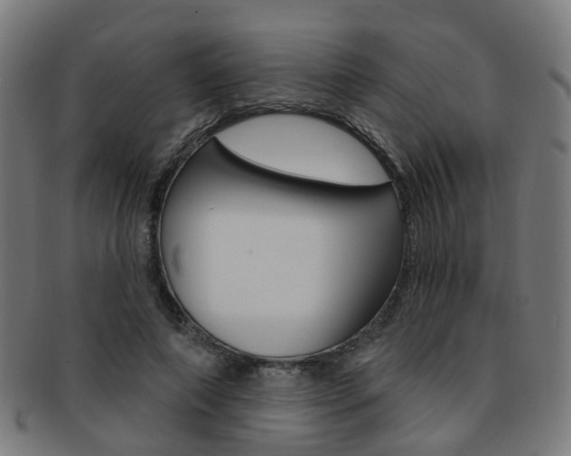 X0000092030690200709061351