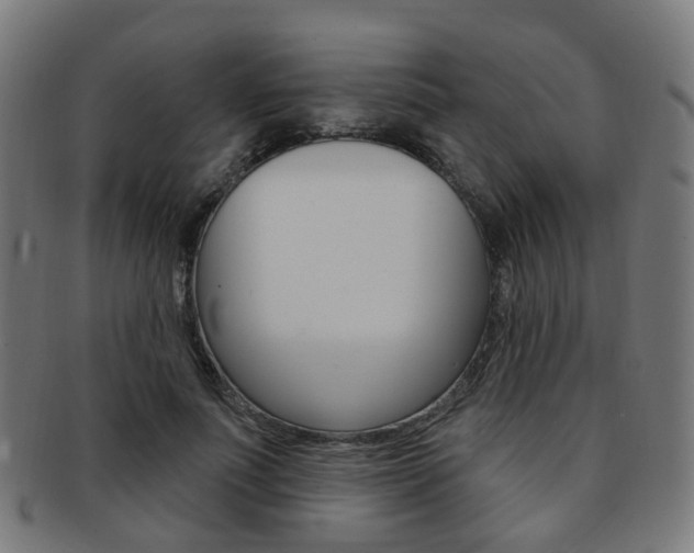 X0000092030691200709061351