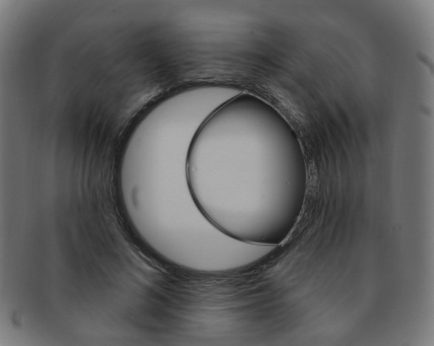 X0000092030692200709061351
