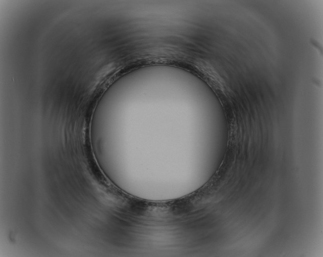 X0000092030694200709061351