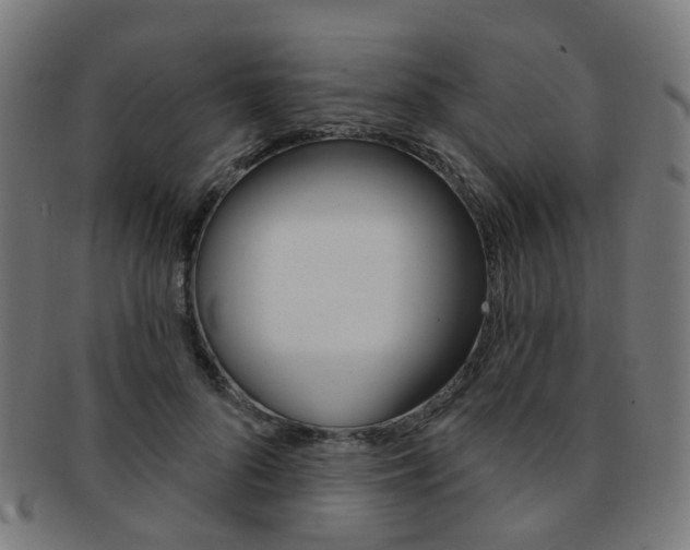 X0000092030696200709061351
