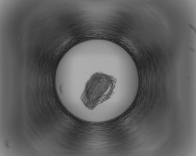 X0000092030697200709061351