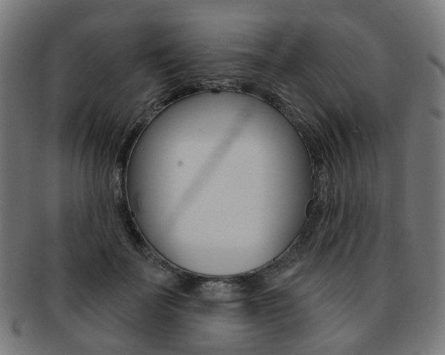 X0000092030699200709061351