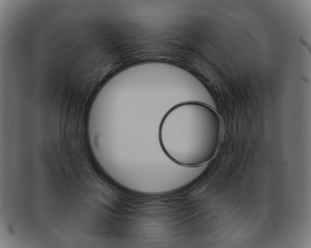 X0000092030700200709061351