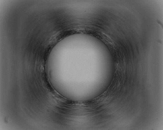 X0000092030702200709061351