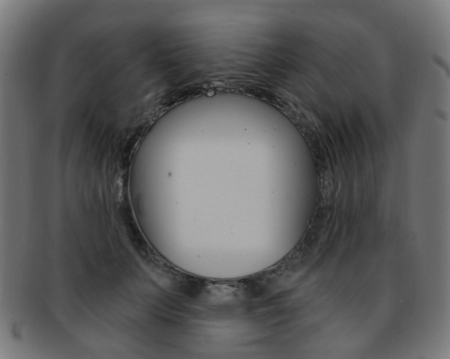 X0000092030703200709061351