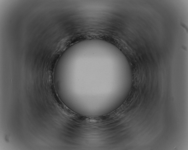 X0000092030706200709061351