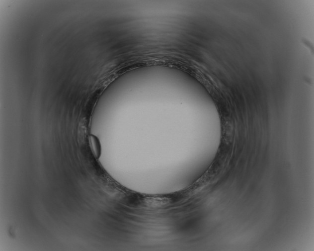 X0000092030707200709061351