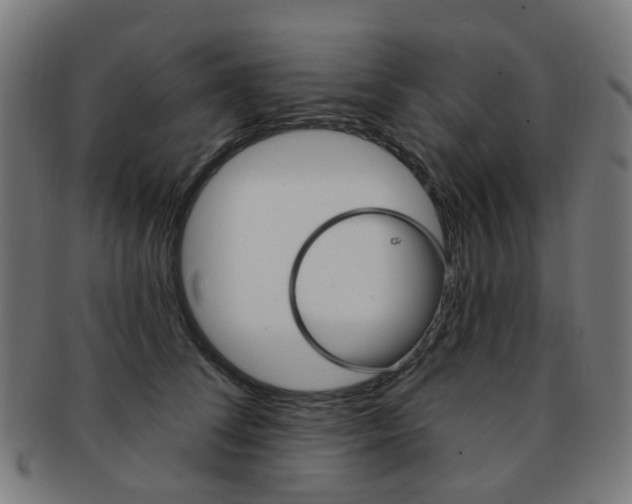 X0000092030708200709061351
