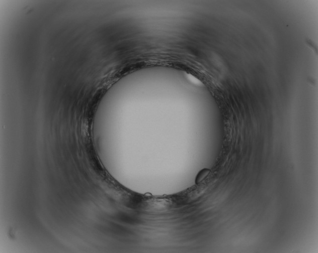 X0000092030711200709061351