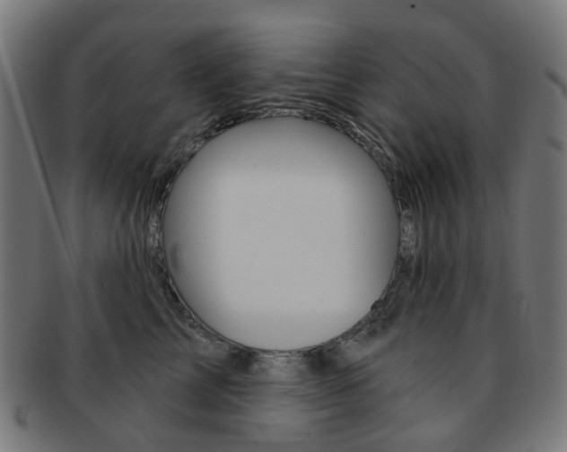X0000092030713200709061351