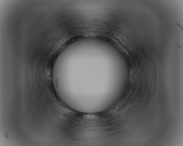 X0000092030714200709061351