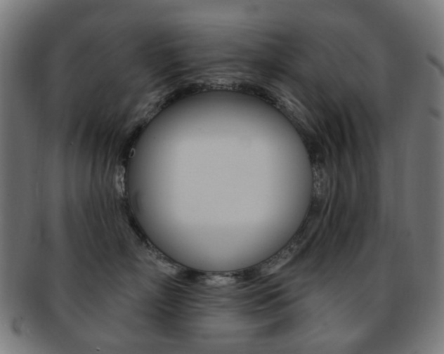 X0000092030718200709061351