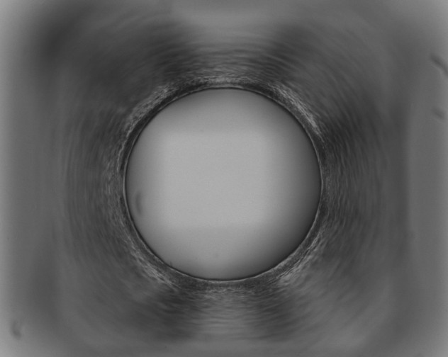 X0000092030721200709061350