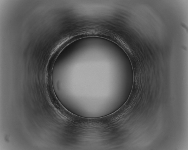 X0000092030722200709061350