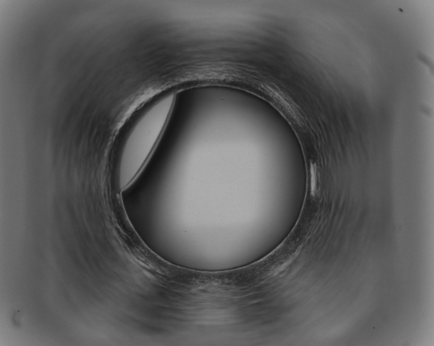 X0000092030723200709061350