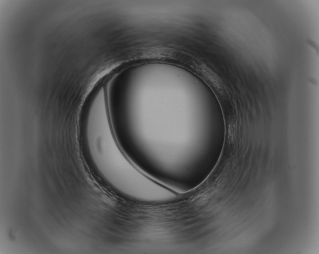 X0000092030724200709061350